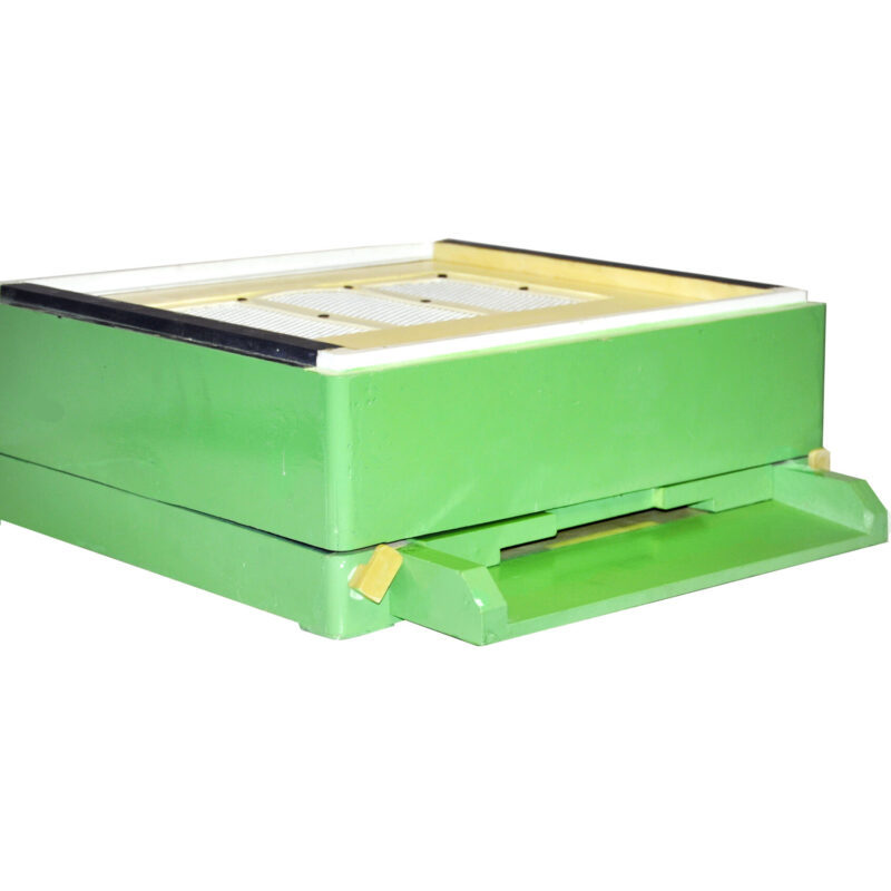 Dennica wielkopolska z poławiaczem pyłku